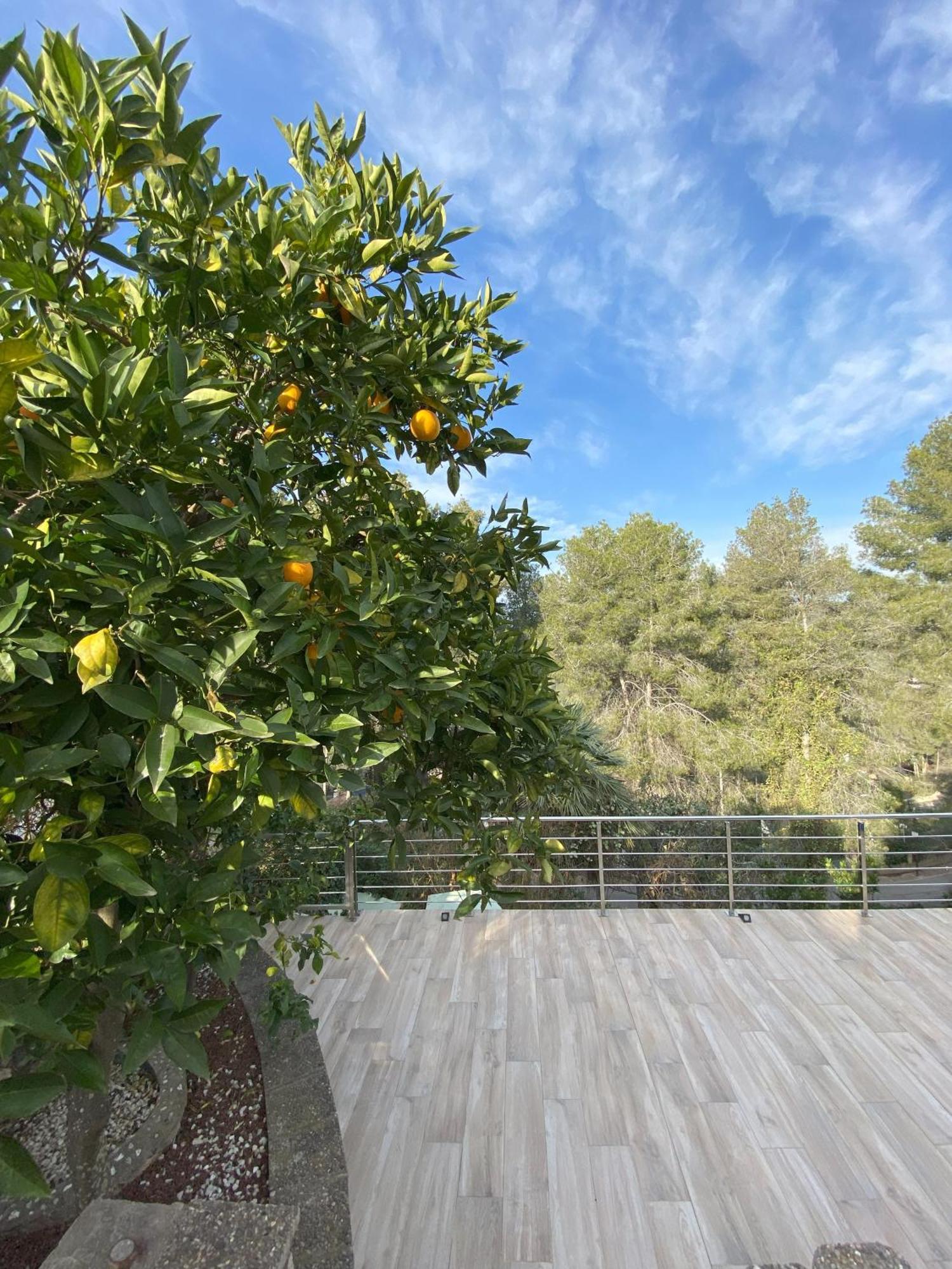 Villa Avril Piscina Privada Y Amplias Terrazas Olivella Exterior photo